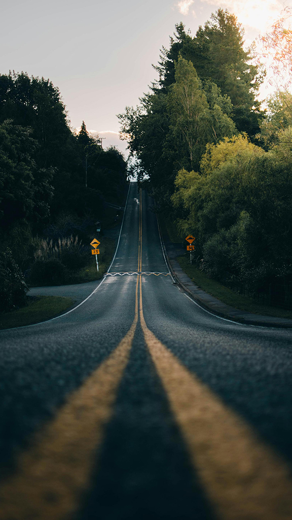 A two-lane road curves up a hill surrounded by dense trees